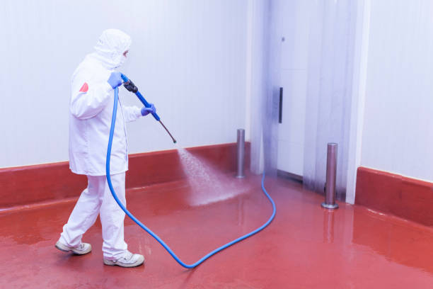 Best Pre-Holiday Cleaning  in Durant, OK
